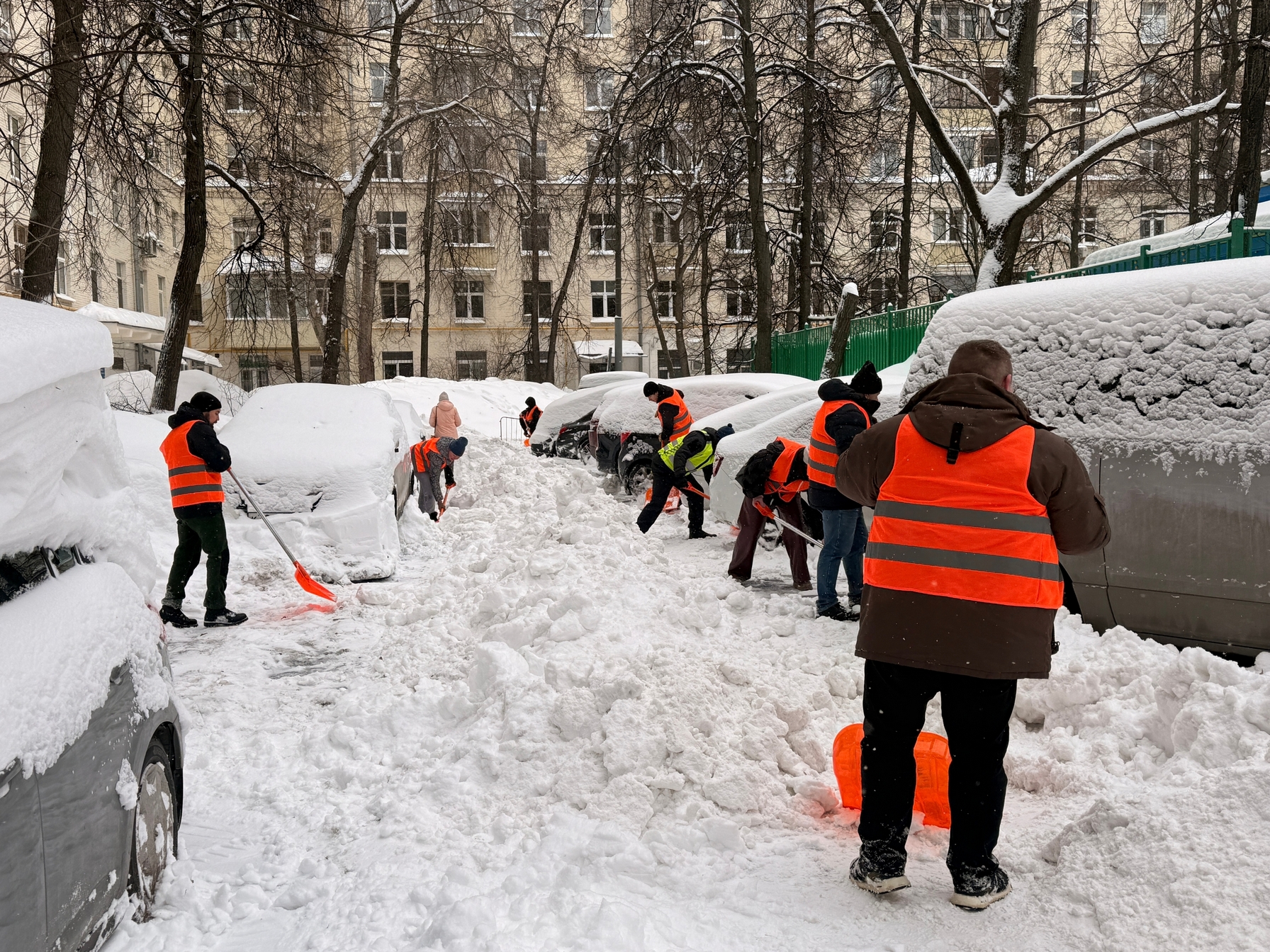 Вместе против снега. Субботник 21 февраля